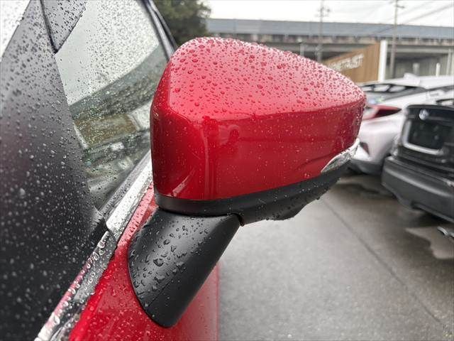 image 28