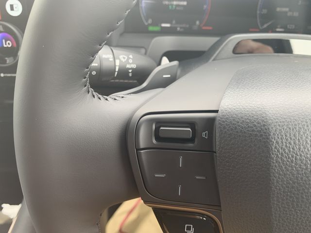 image 16