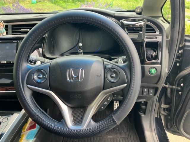 image 21