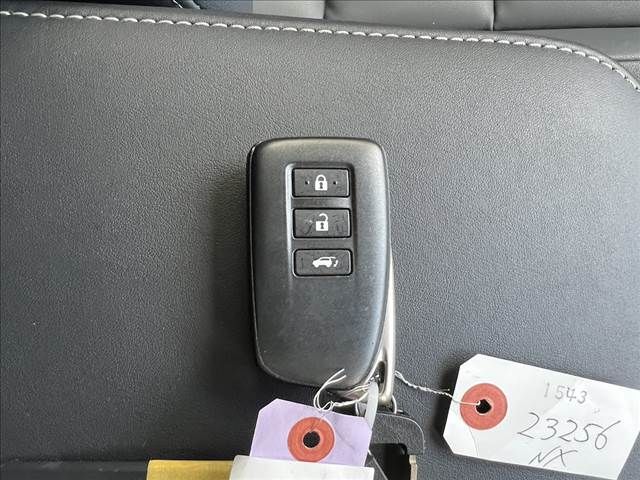 image 21