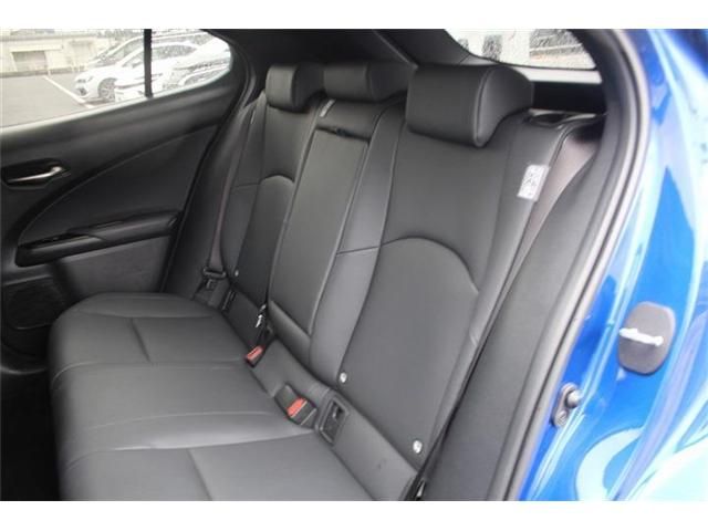 image 23