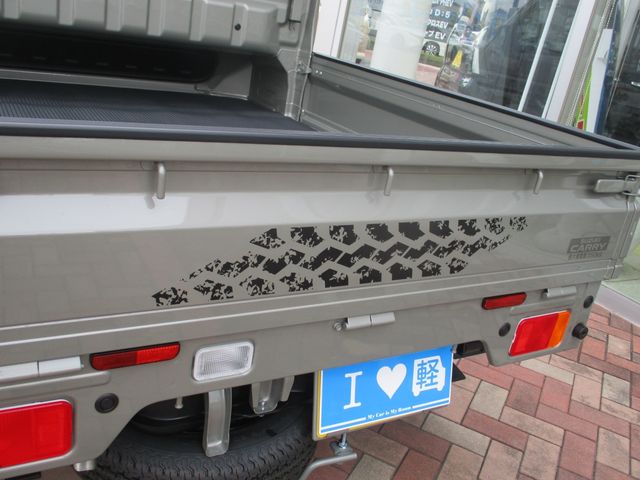 image 29