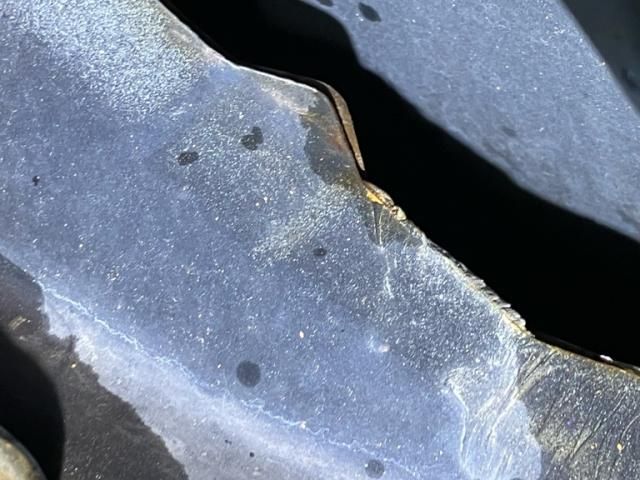 image 23
