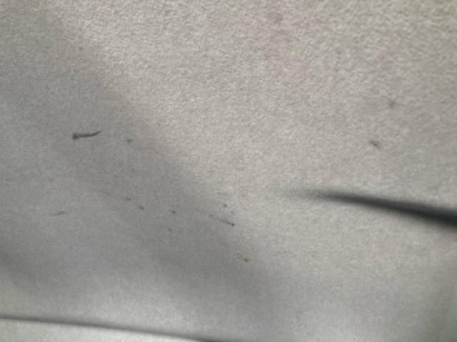 image 24