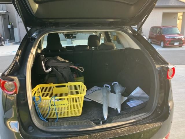 image 23