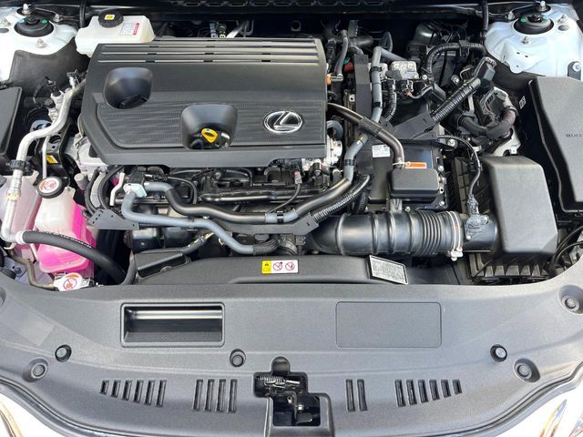 image 17