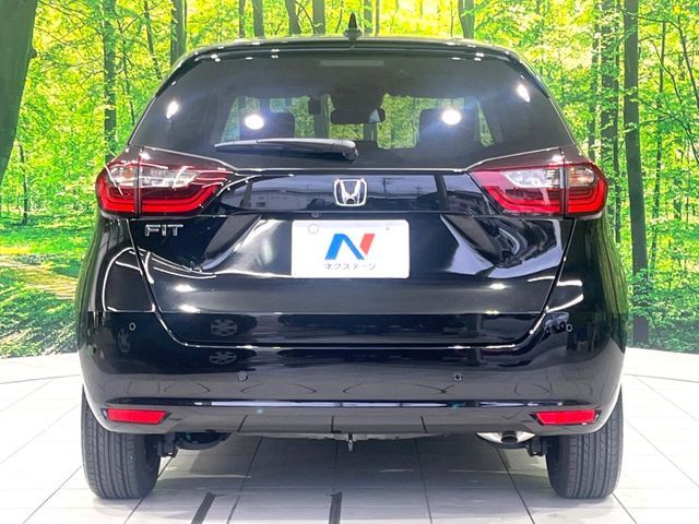 image 14