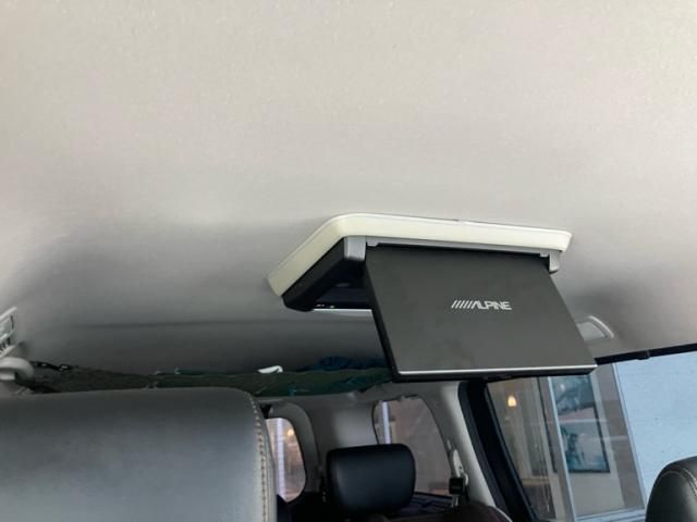 image 21