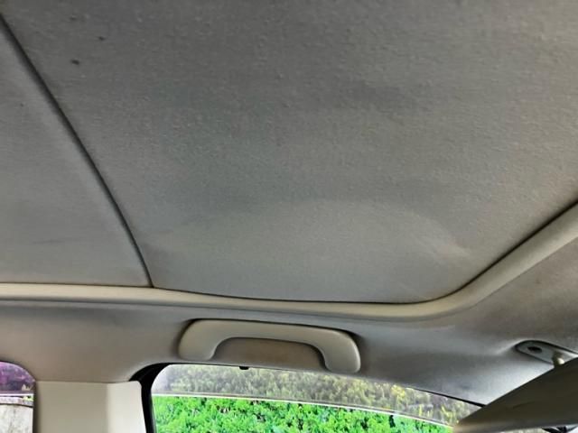 image 16