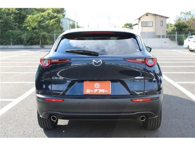 image 14