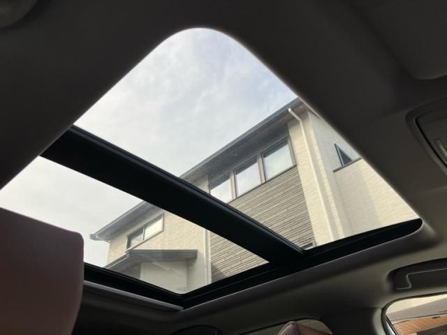 image 16