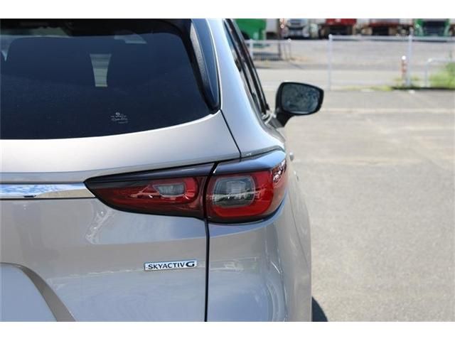 image 17