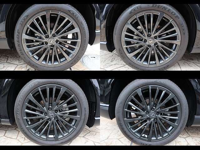 image 29
