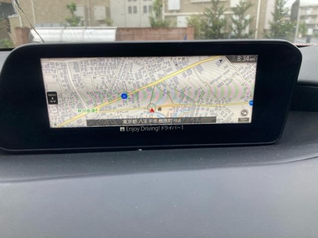 image 21
