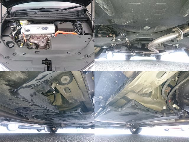 image 16