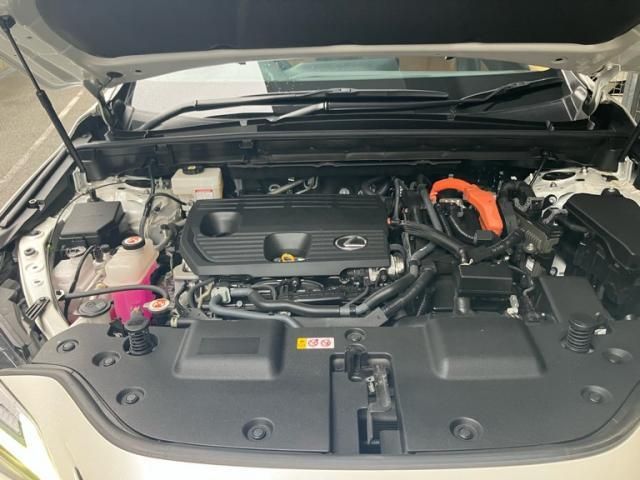 image 27