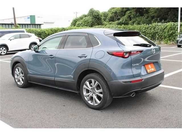 image 15