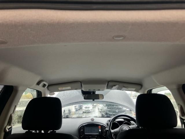 image 14