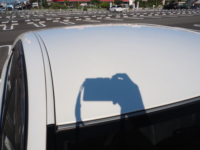 image 27