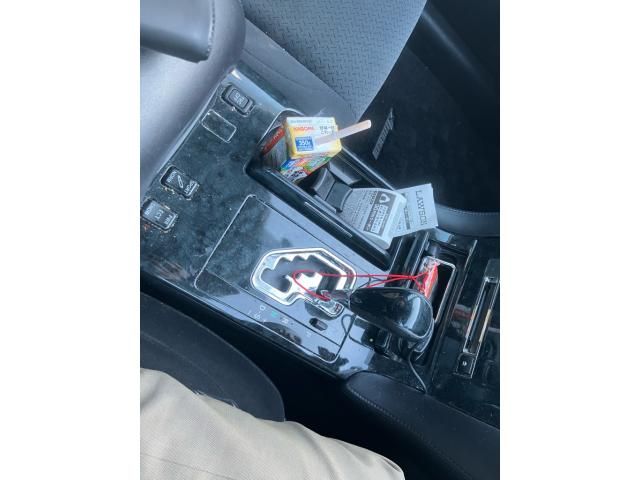 image 19