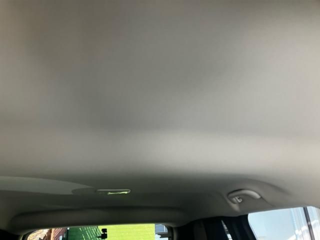 image 23