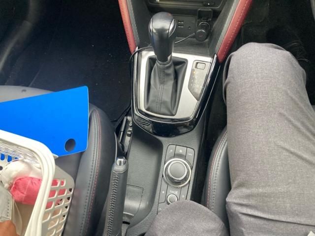 image 15